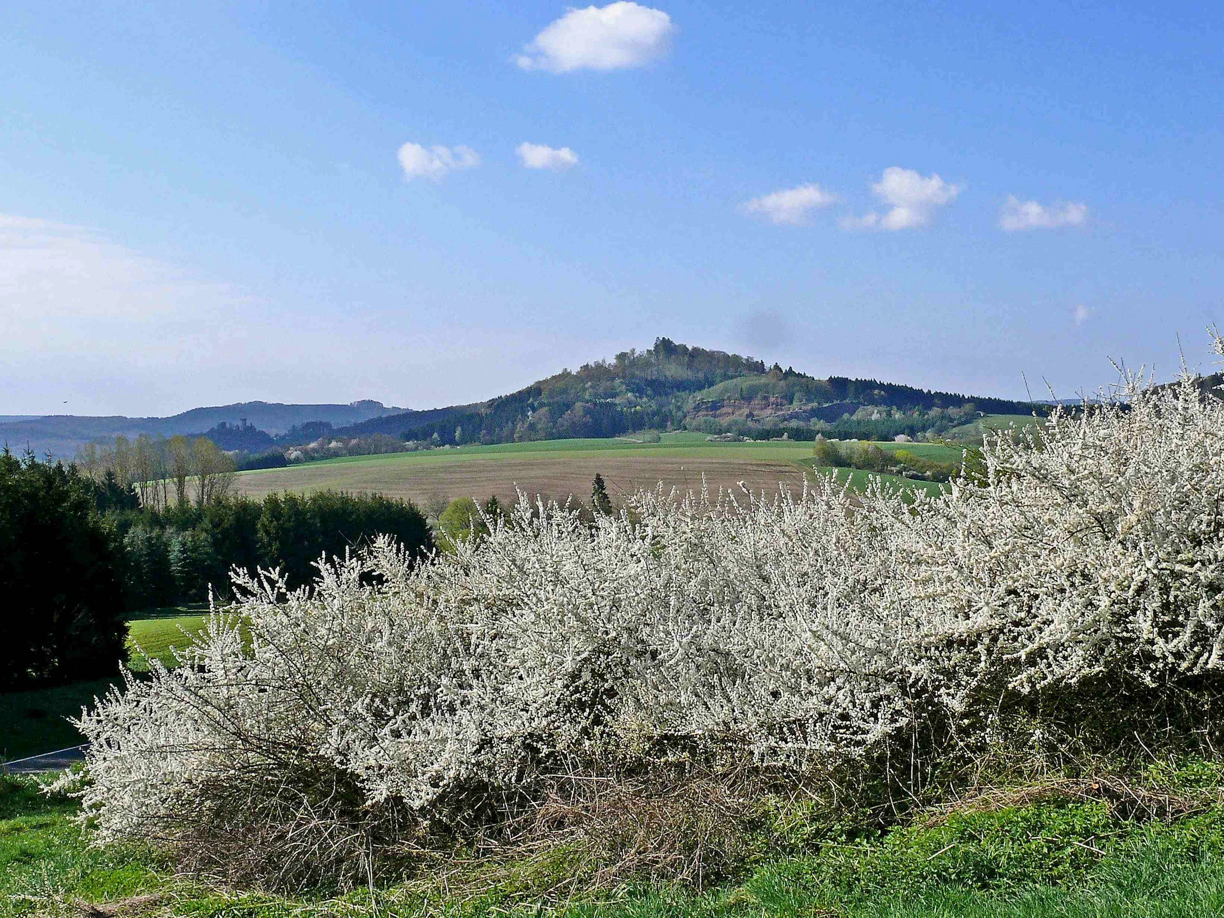 Die Vulkaneifel – Regionalentwicklung im Spannungsfeld zwischen Rohstoffabbau und Geotourismus Bild 2