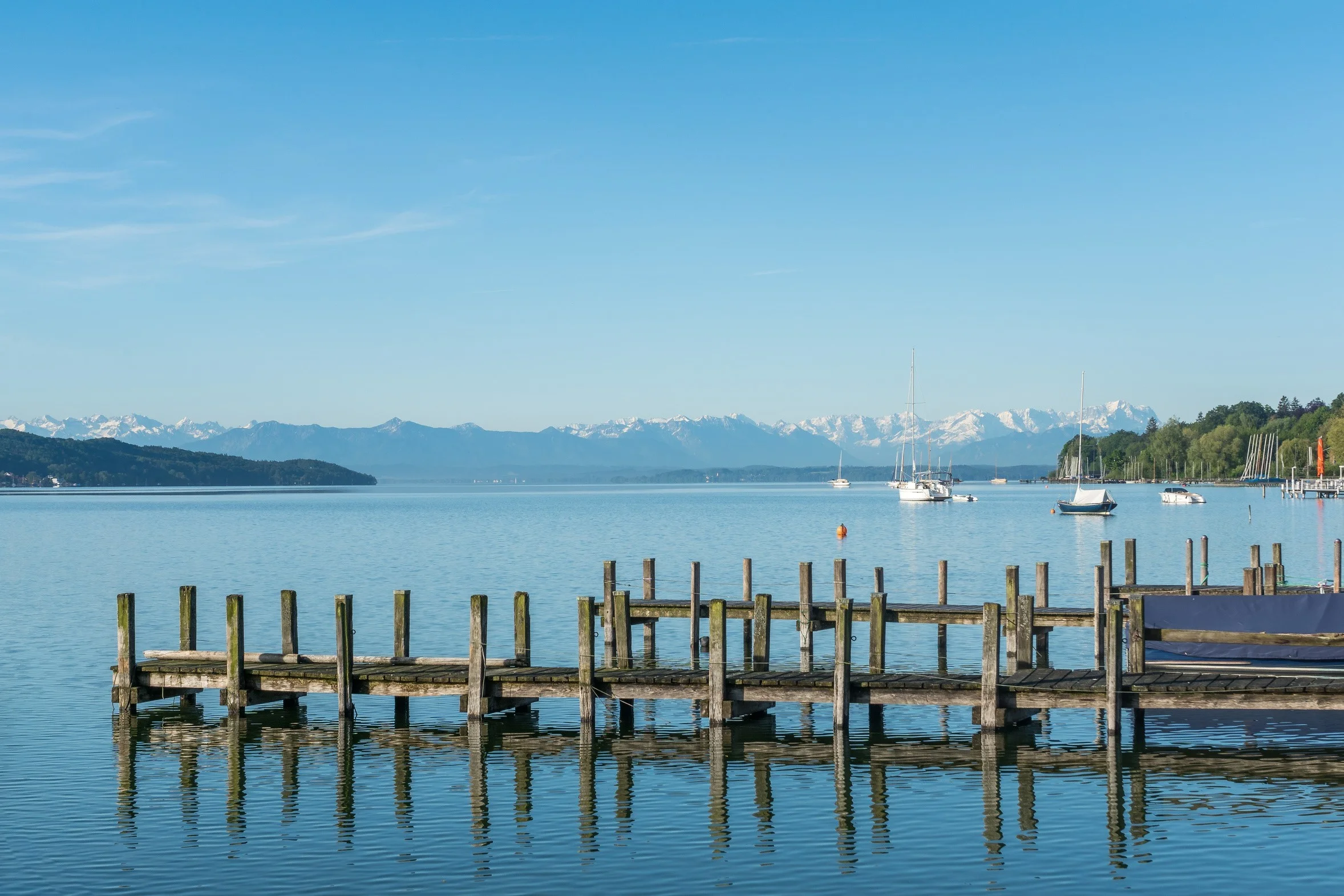 Intuition oder Intellekt? Wie treffe ich meine Entscheidungen? Bild 2