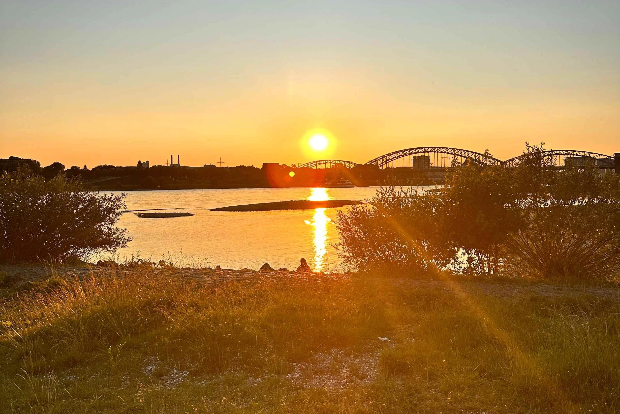 Köln zwischen Großstadt, Naturschutz und Nachhaltigkeit Bild 4