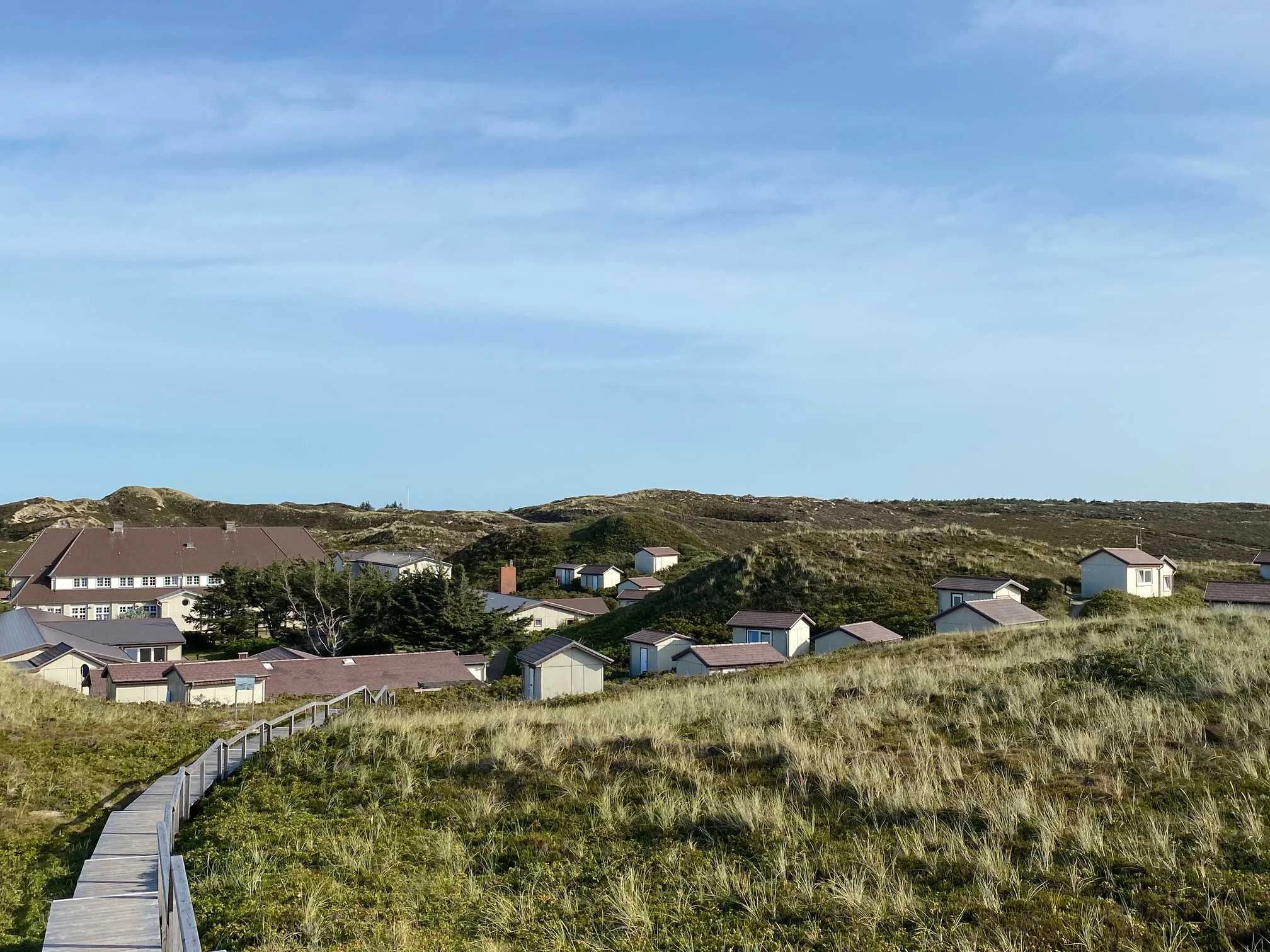 Mehr Energie und Gelassenheit durch bewusste Bewegung und fließende Atmung Bild 2