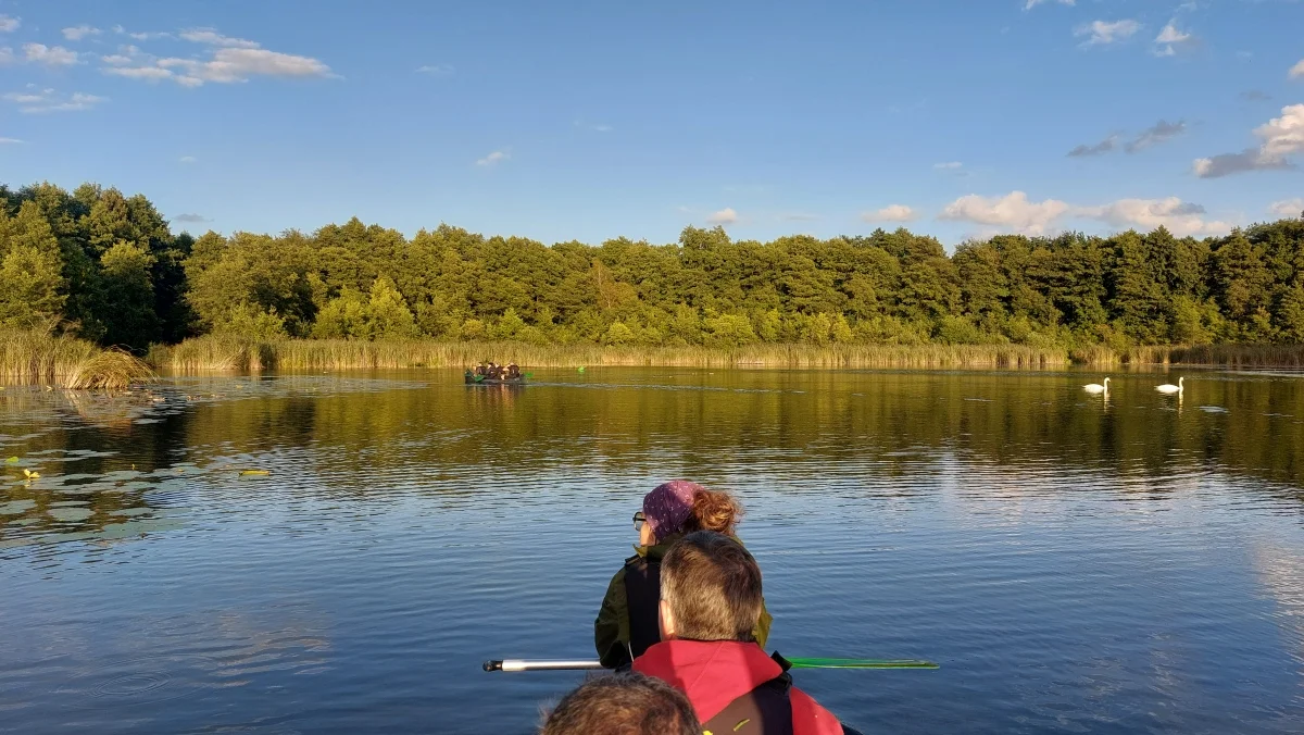 Müritz Nationalpark - Chance für eine wertvolle Naturlandschaft? Bild 1