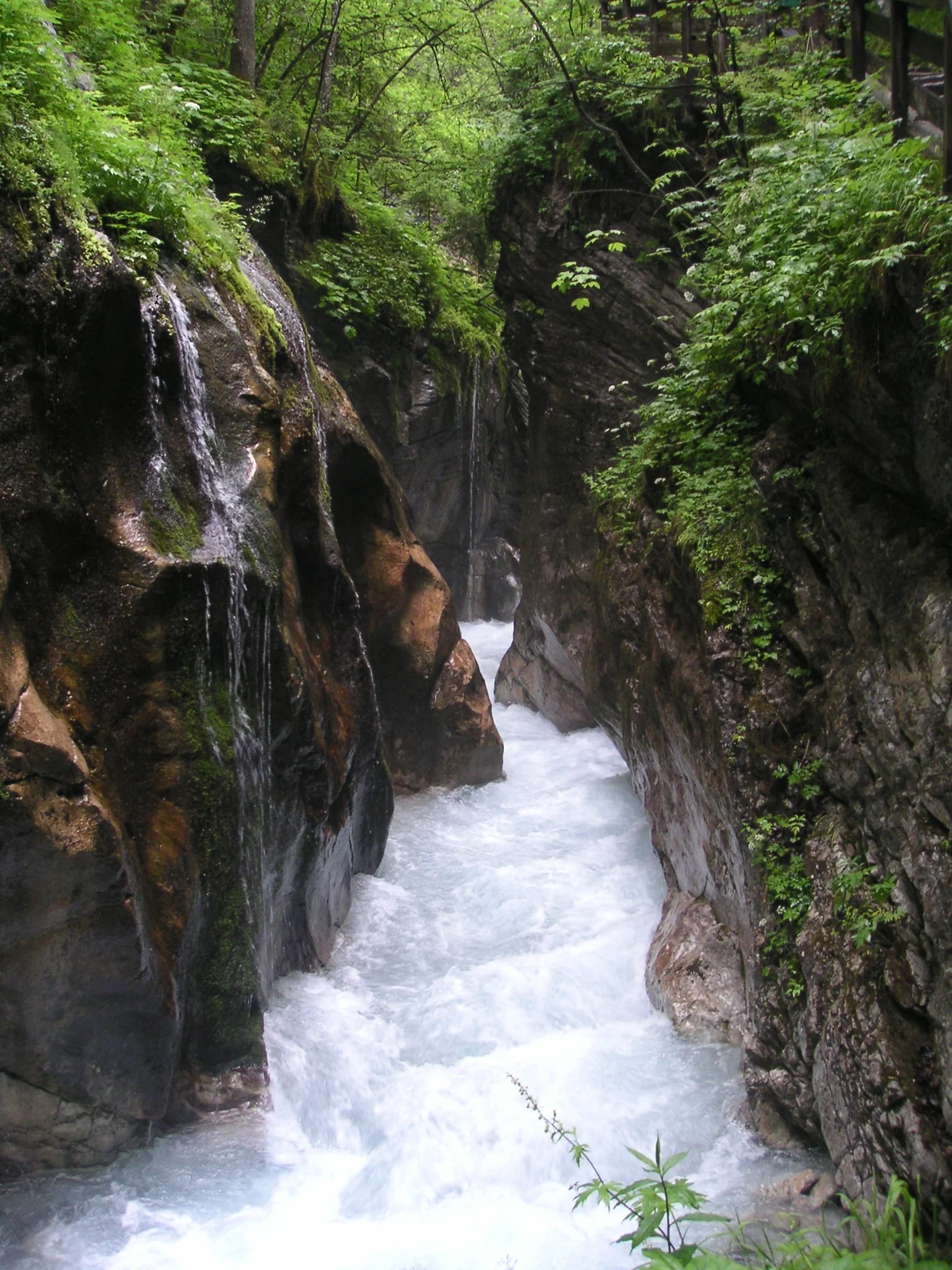 Nationalpark Berchtesgaden - wirksamer Schutz für eine wertvolle Hochgebirgslandschaft? Bild 2