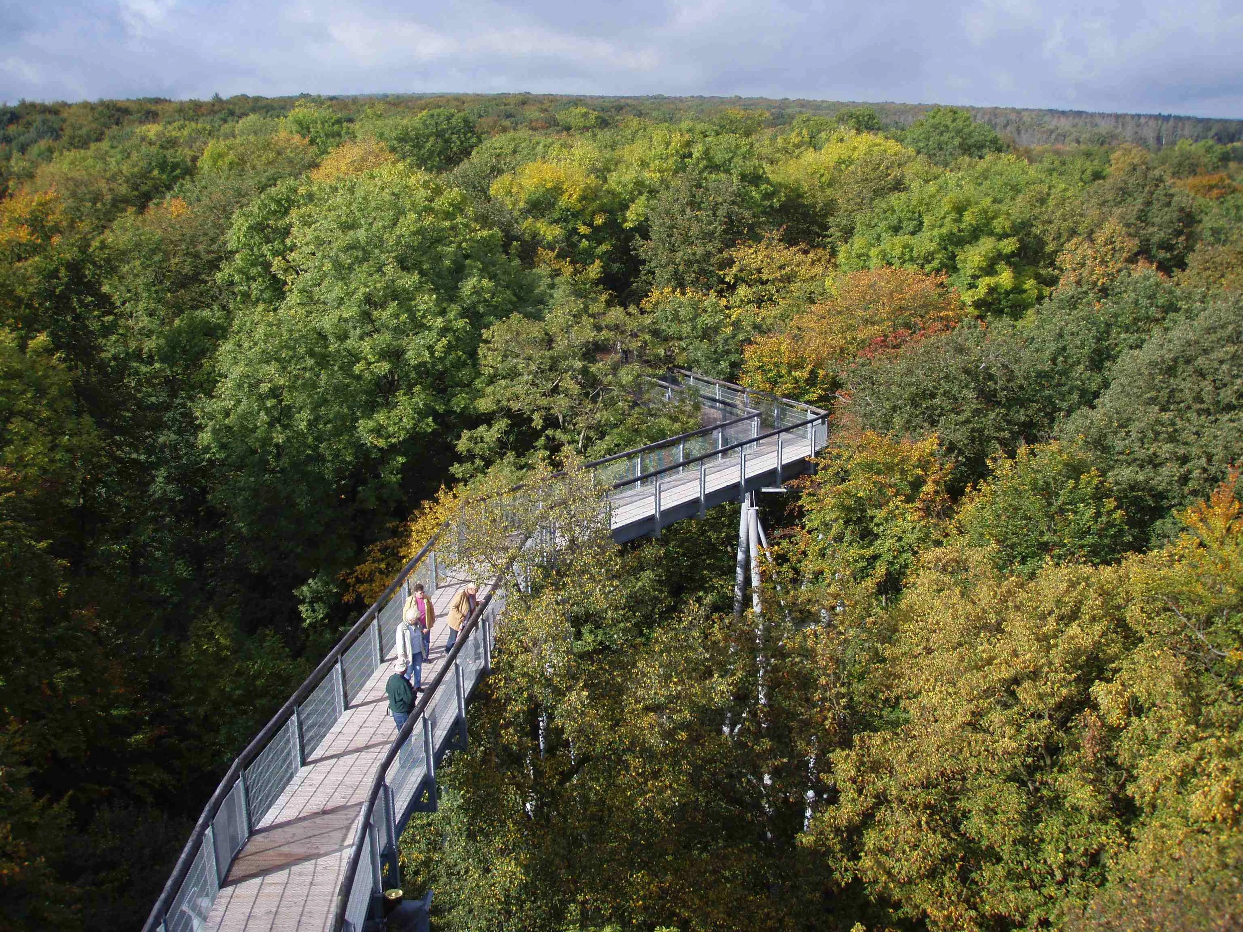 Nationalpark Hainich - Schutz für den „Urwald mitten in Deutschland“ Bild 1