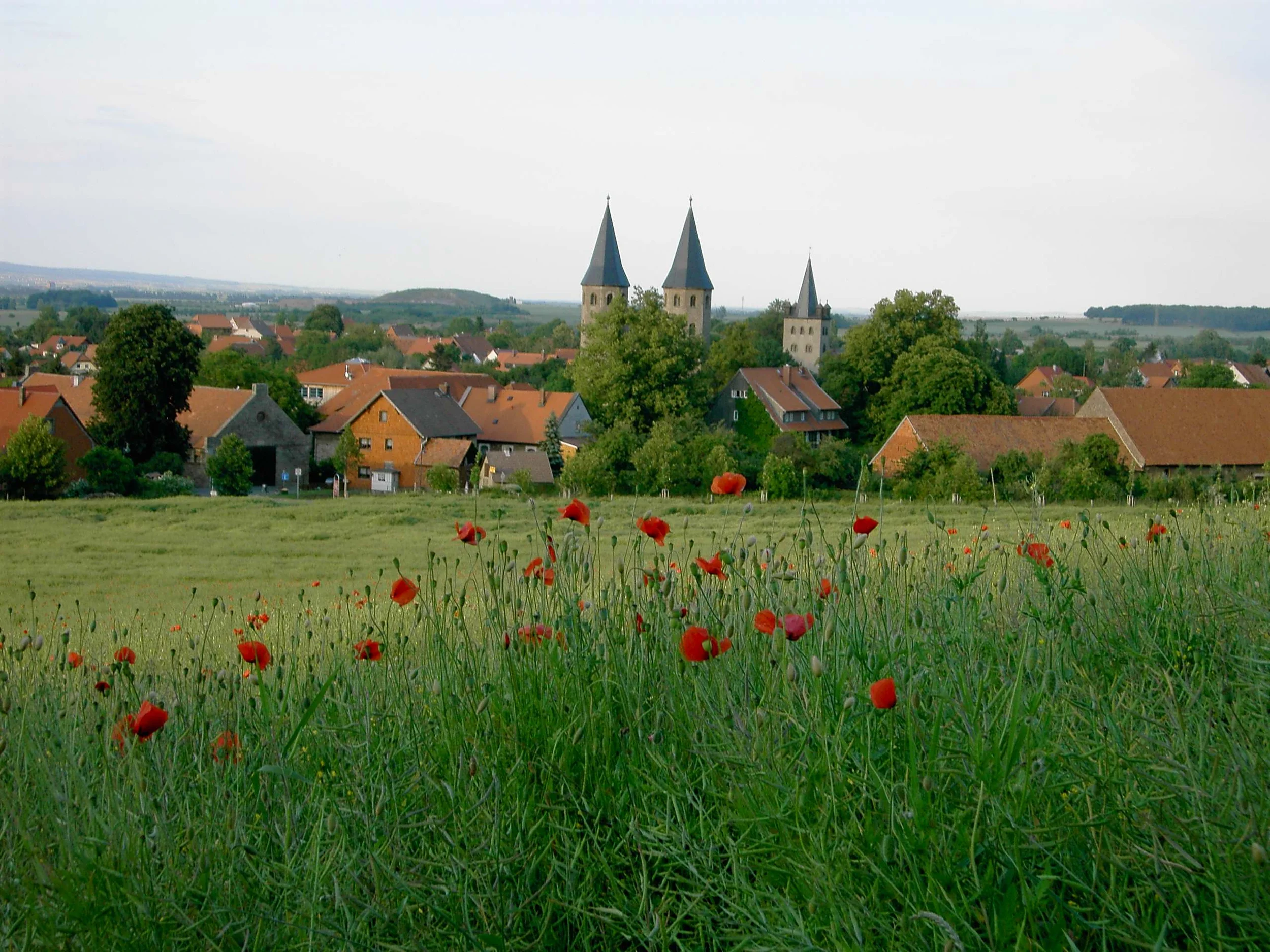 Nationalpark Harz - Schutz für die einzigartige Wald-Landschaft am Brocken Bild 1
