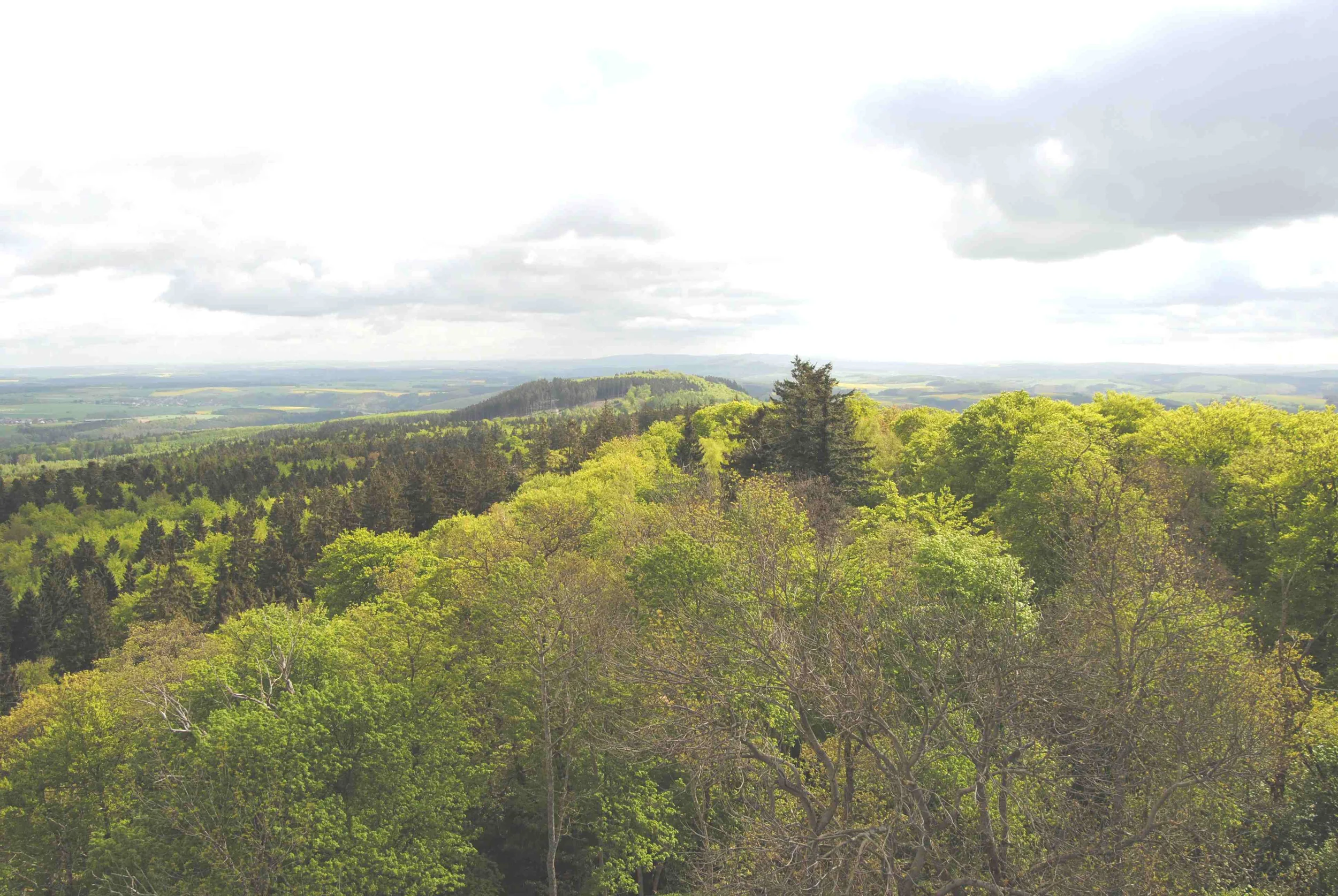Nationalpark Hunsrück-Hochwald - ein länderübergreifendes Großschutzgebiet Bild 2