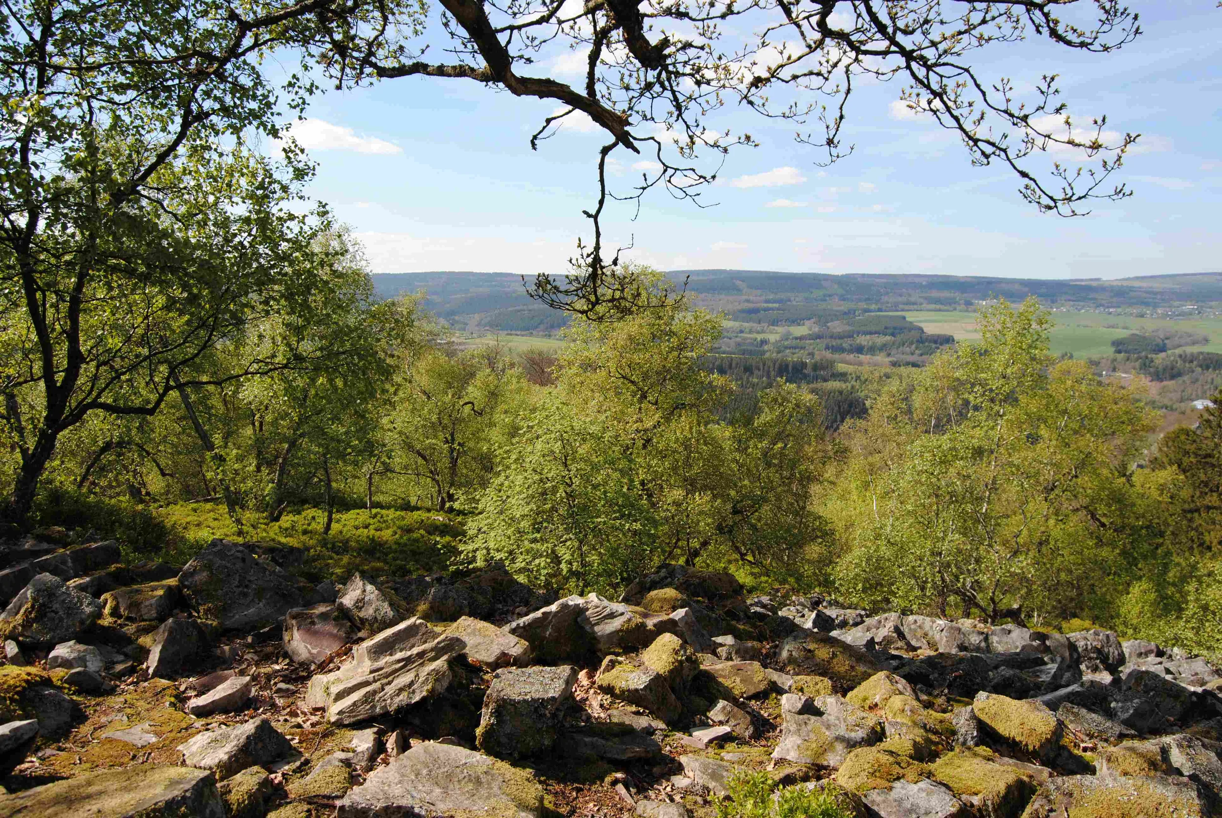 Nationalpark Hunsrück-Hochwald - ein länderübergreifendes Großschutzgebiet Bild 1