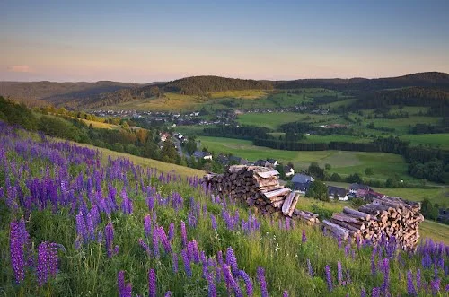 Naturpark Südschwarzwald - "Schutz durch Nutzung"?! Bild 1
