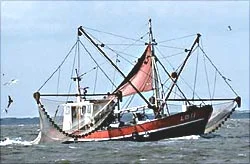 Nordfriesisches Wattenmeer – Naturschutz, Klimawandel und der Mensch in der Halligwelt Bild 1