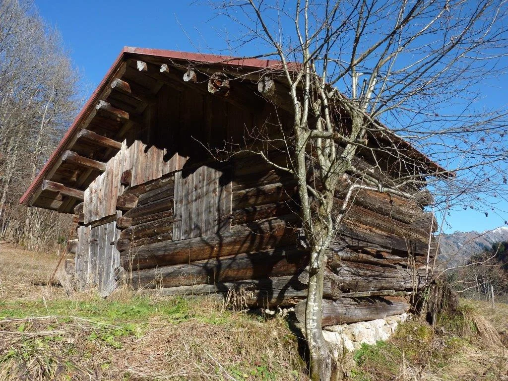 Oberstdorf - Naturschutz in einer wertvollen und touristisch genutzten Hochgebirgslandschaft Bild 2