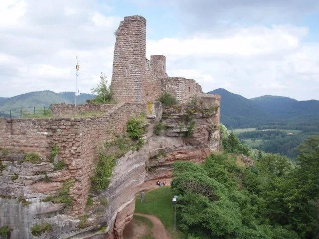 Pfälzerwald und Nordvogesen – ein grenzüberschreitendes Biosphärenreservat Bild 2