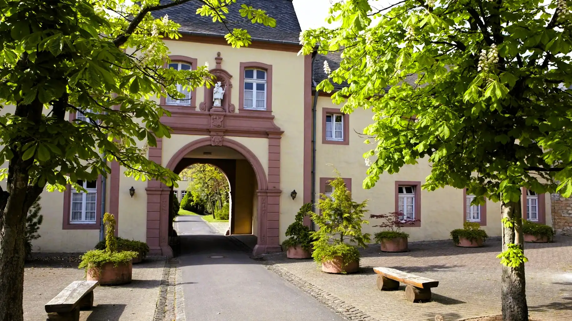 Rückengesundheit und Stressbewältigung mit Qigong Bild 1