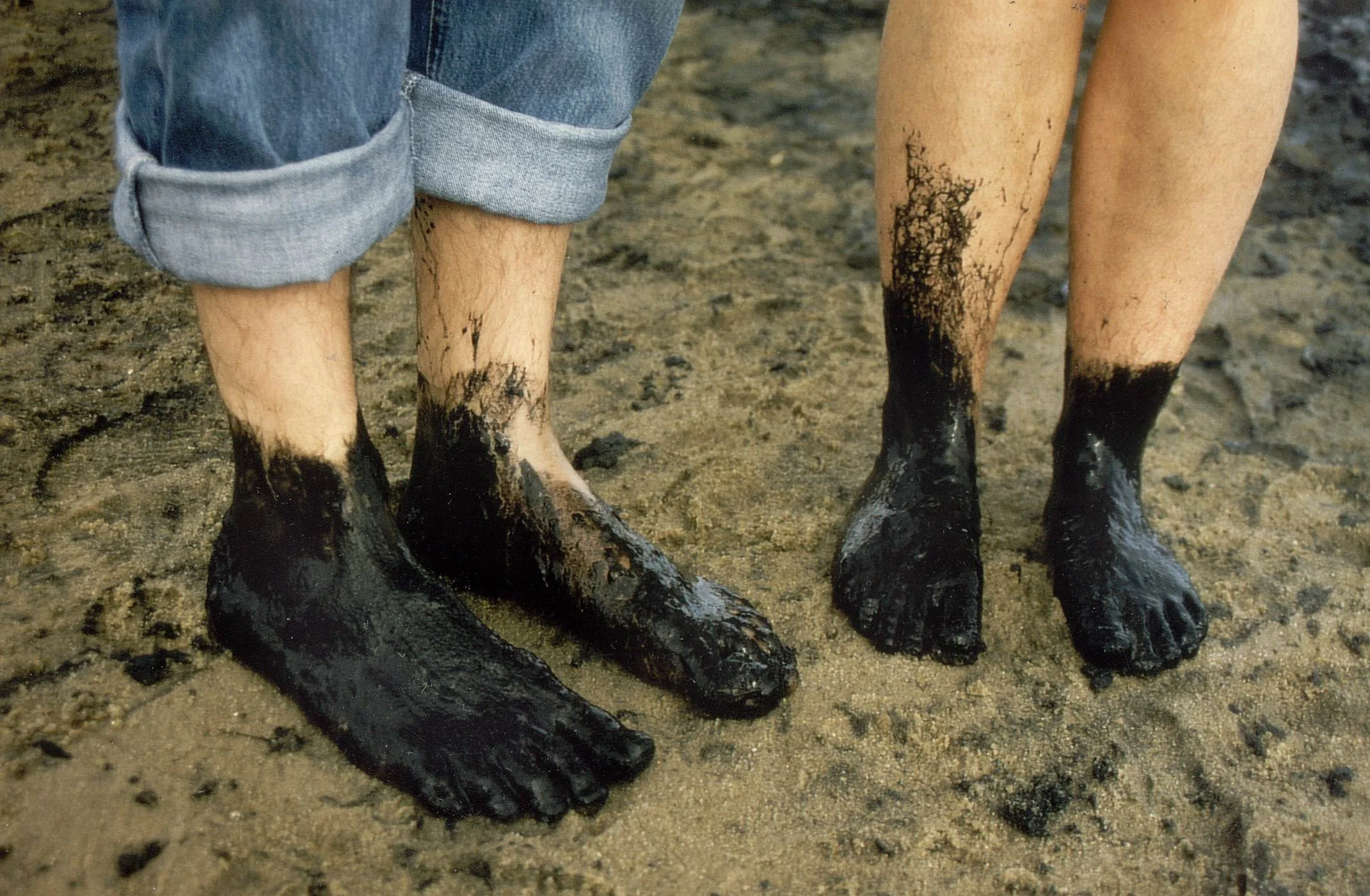 Sylt - eine Insel inmitten des Nationalparks! Bild 2