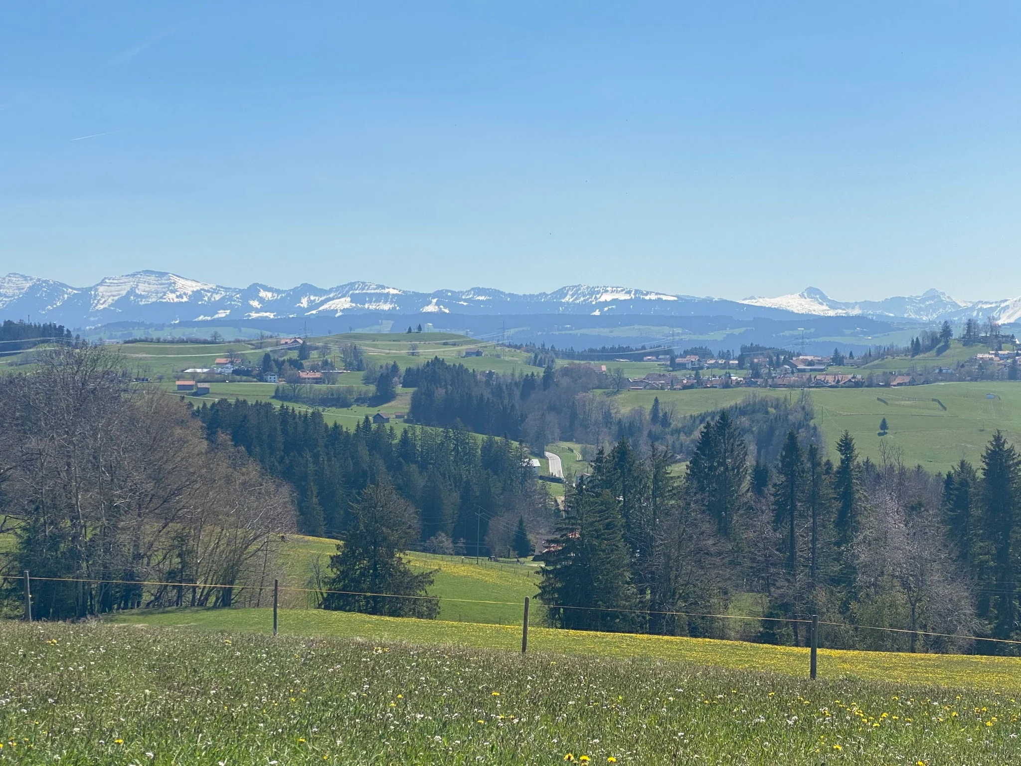 „Wildes Westallgäu“ und östliche Bodensee-Region: einzigartige Natur- und Kulturlandschaften „unter Druck“ Bild 1