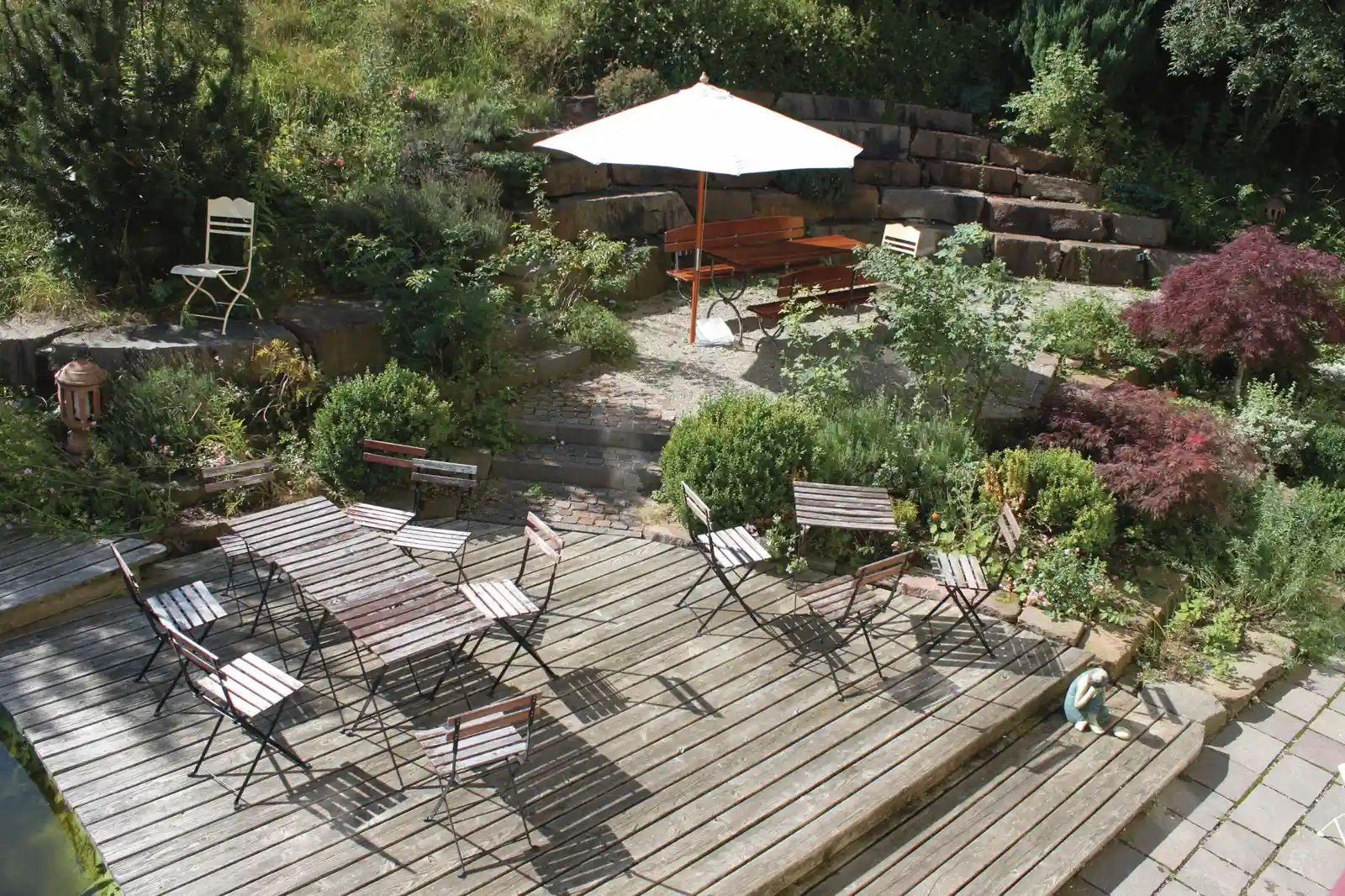 Yoga, Longevity und Biohacks Bild 1