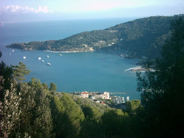 Cinque Terre - Ökologie und Naturschutz einer Kulturlandschaft an der ligurischen Küste Bild 1