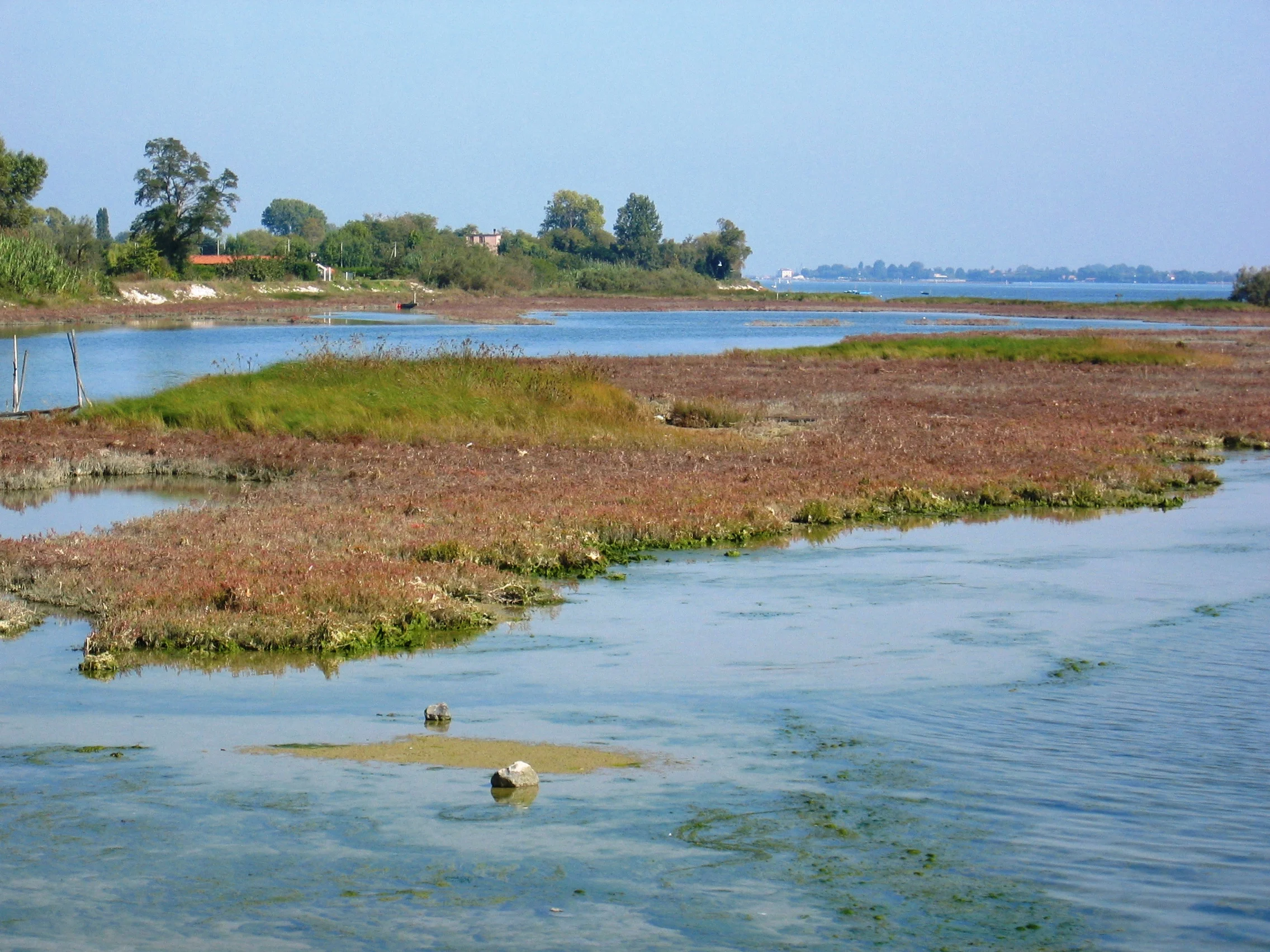 Venedig – Welterbe zwischen Tourismus, Ökonomie und Naturerhalt Bild 2