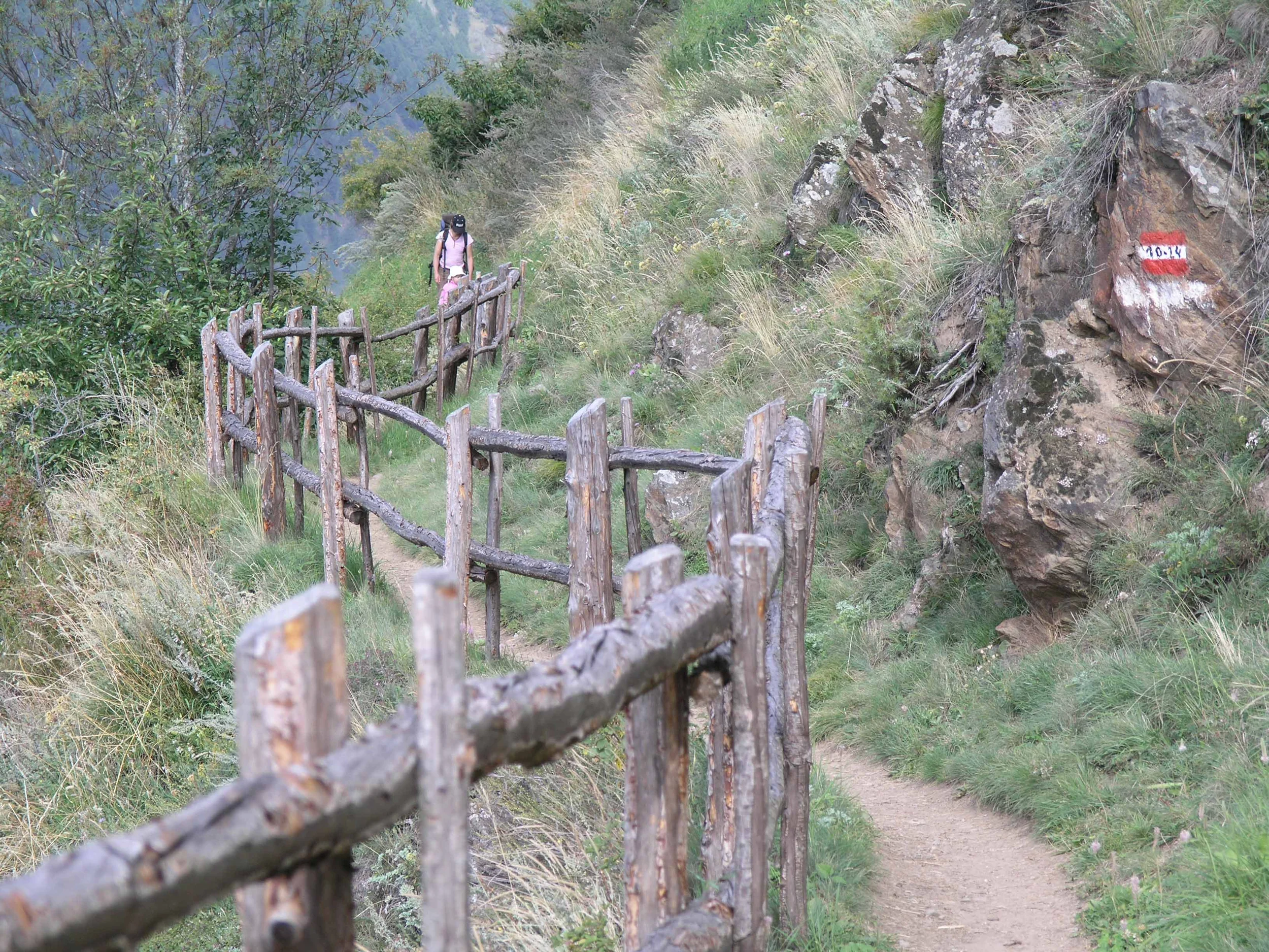 Vinschgau und Nationalpark Stilfserjoch – Chancen und Bedrohung einer faszinierenden Natur- und Kulturlandschaft Bild 2