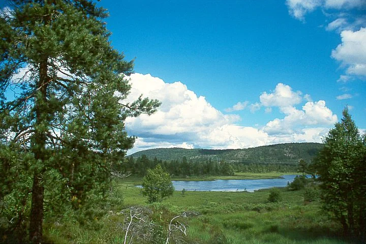 Schärengarten Südnorwegen – sanfter Tourismus an der „Riviera Norwegens“ Bild 2