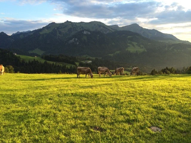 Klimaanpassungsregion Bregenzerwald – enkeltaugliche Strategien in den Alpen Bild 1