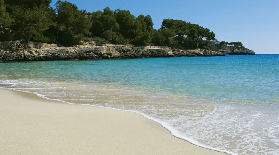 Innere Stärke entfalten. Mit GFK und Achtsamkeit Resilienz leben - auf Mallorca Bild 1