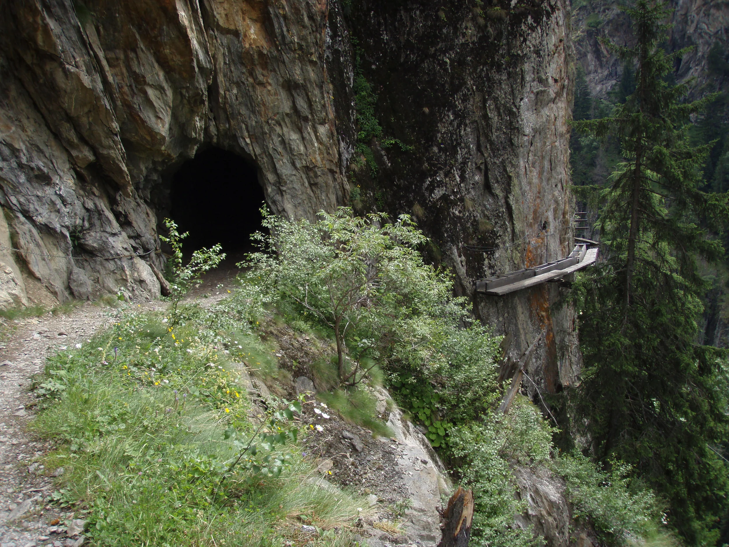 Der Aletschgletscher - Zeuge des Klimawandels in den schweizerischen Hochalpen Bild 2