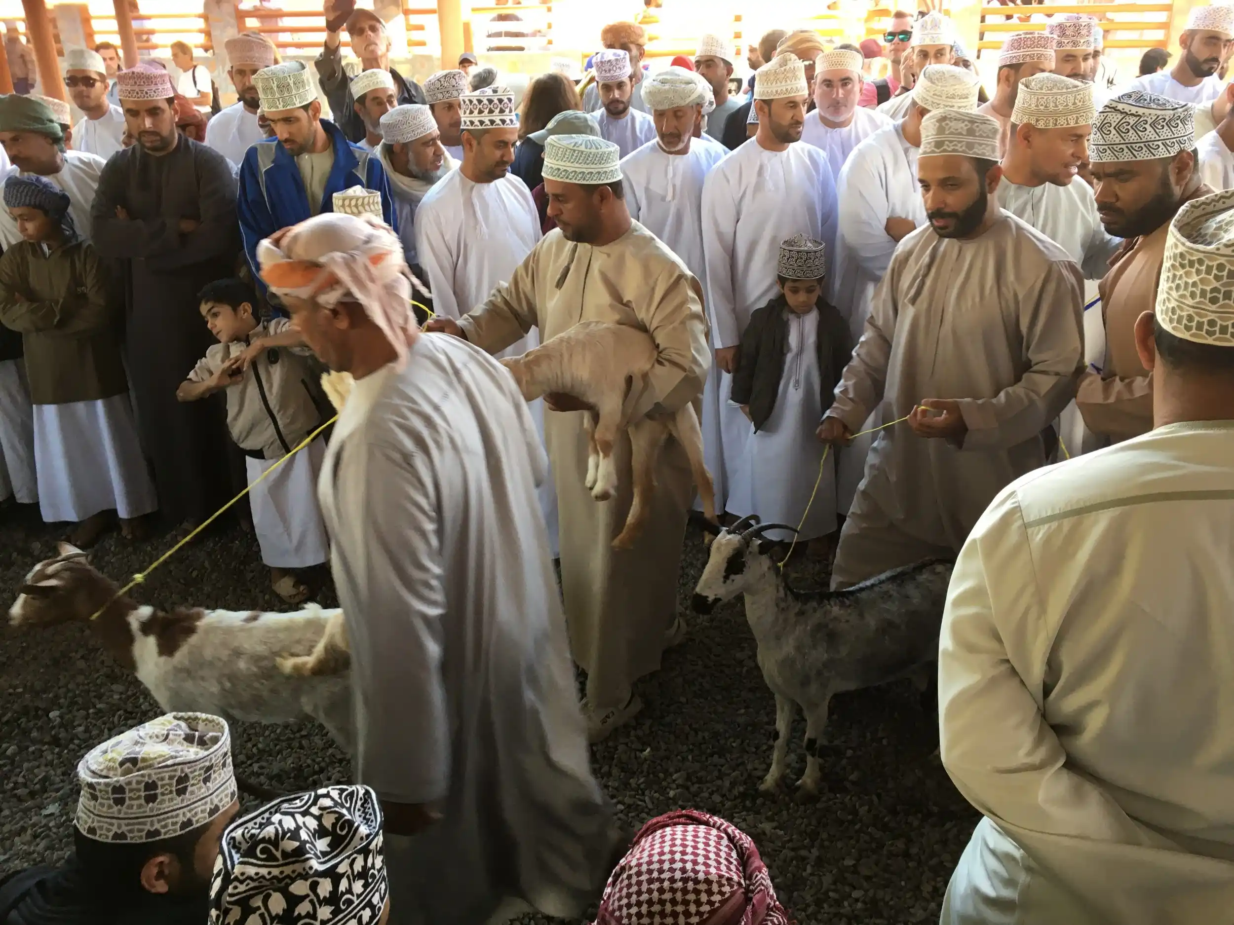 Überraschender Oman. Annäherungen zwischen Golfstaaten und Deutschland Bild 1
