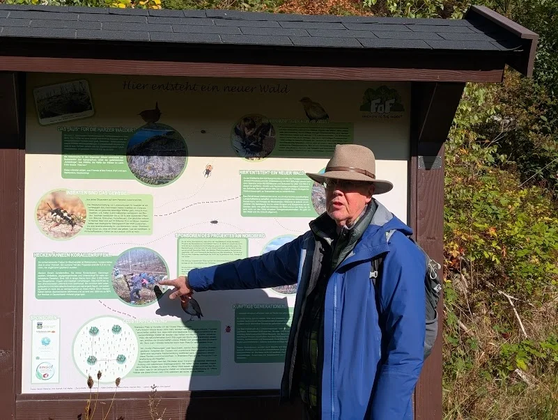 KlimaRetter Wald - über die Beziehung zwischen Wald und Klima Bild 2