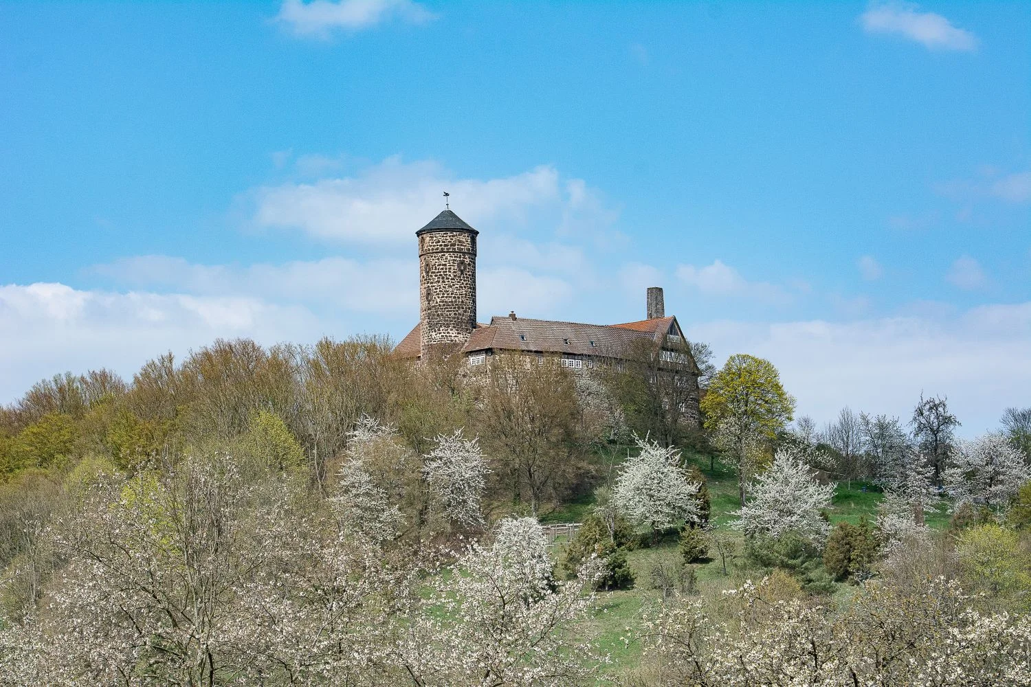 Resilienz-Training in der Natur auf Burg Ludwigstein: Methoden der Selbstwirksamkeit in Beruf & Alltag für mehr Stabilität und Optimismus, weniger Stress, konkretere Ziele und positive Veränderung Bild 1