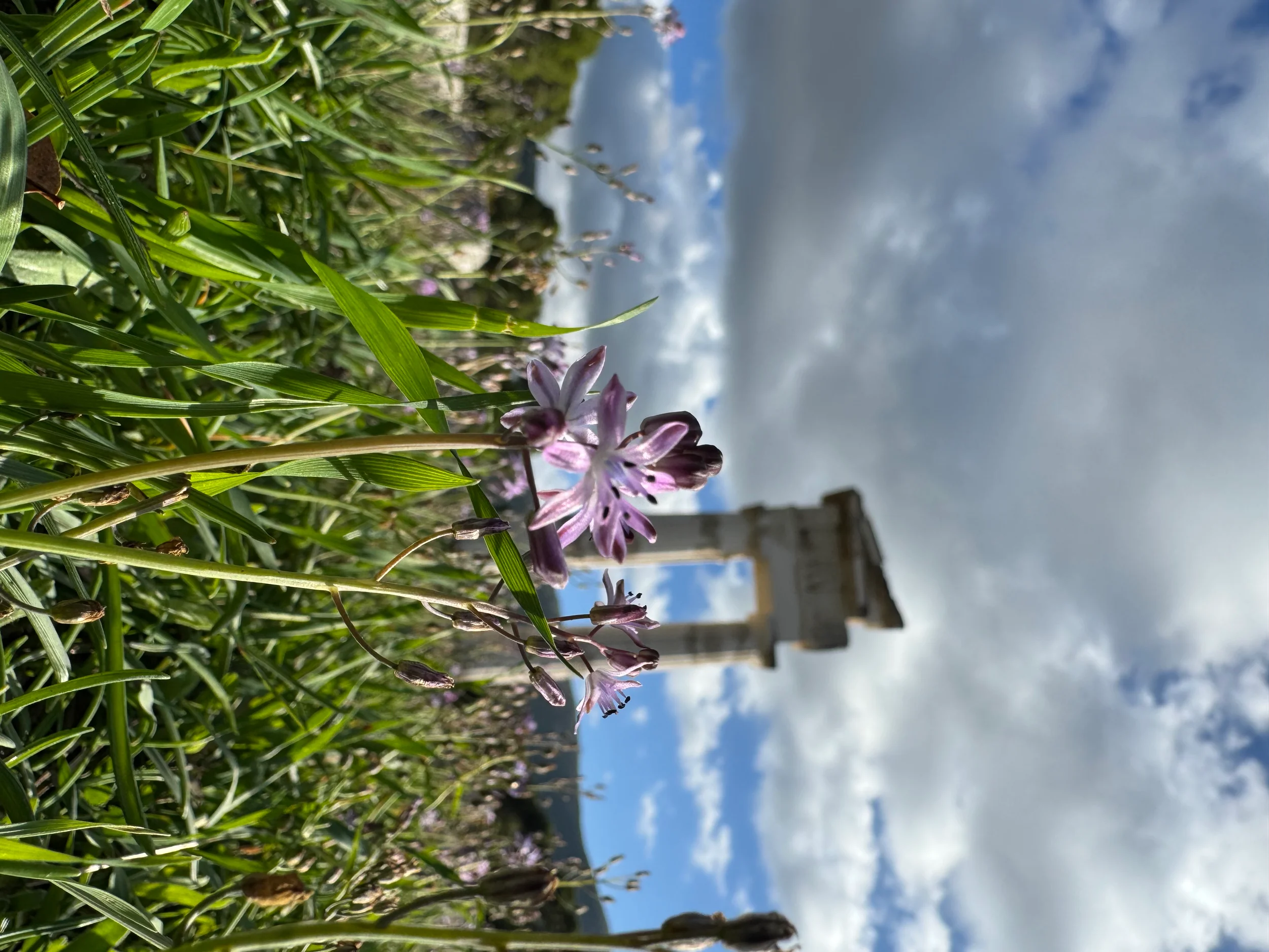 Coaching unter Segeln –  Weiterbildung in Teambuilding, Prävention, Kommunikation und Konfliktmanagement Bild 2