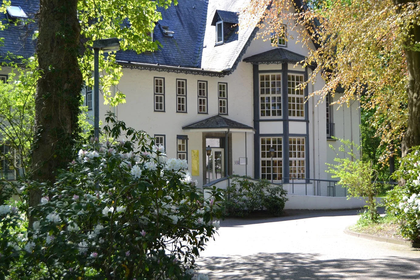 Körper im beruflichen Alltag: Konzepte/Methoden/Reflexion Bild 1