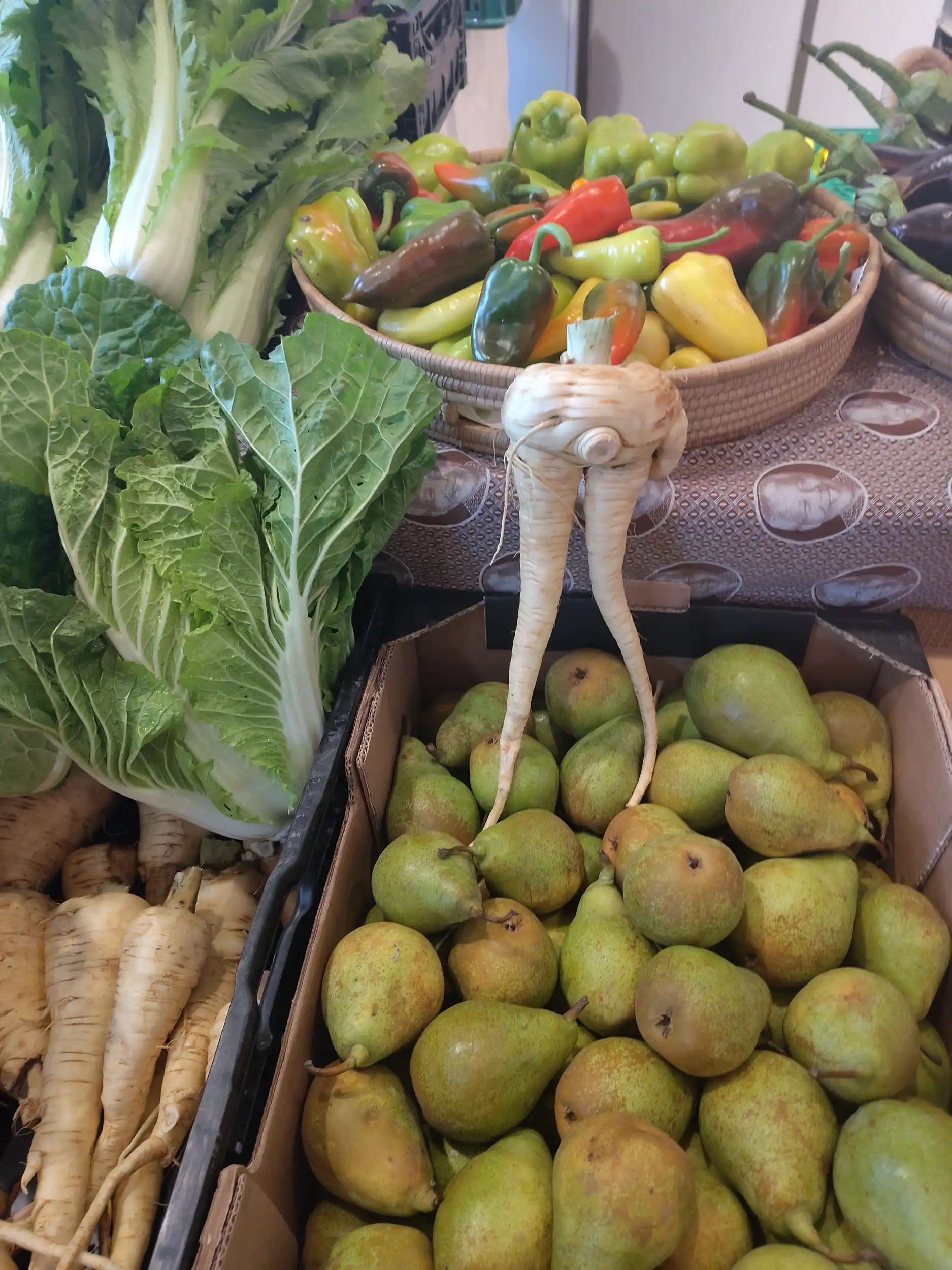 Nachhaltige Ernährung ganz einfach Bild 1