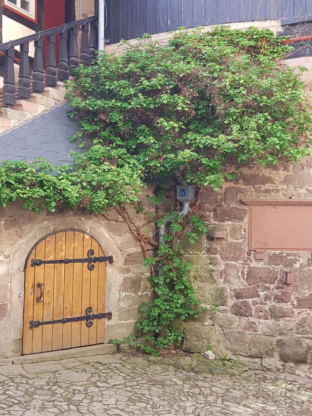 Resilienz-Training in der Natur auf Burg Ludwigstein - Schwerpunktwoche Kreativität & Achtsamkeit für mehr Gelassenheit, weniger Stress, neue Perspektiven und positiven Wandel Bild 2