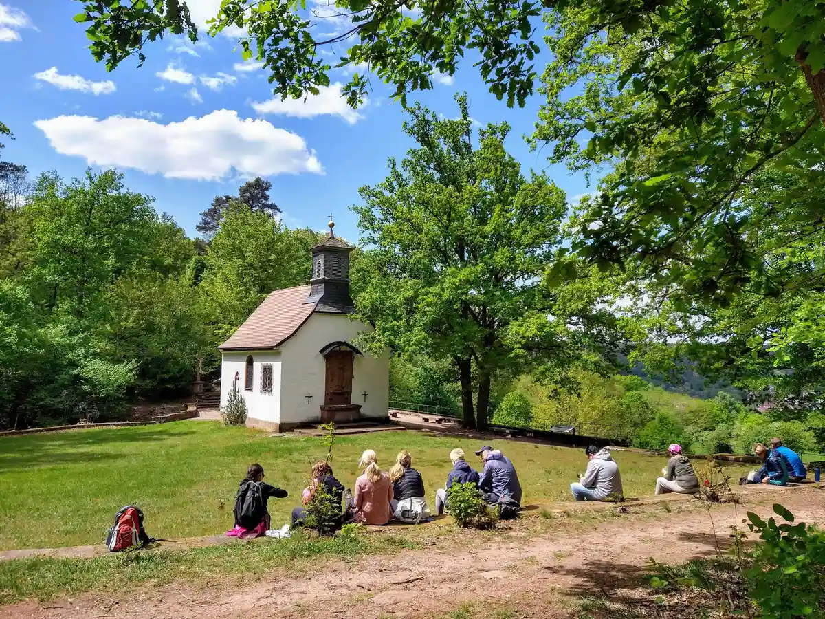 STRESSRESILIENZ DURCH VITAL-BASENFASTEN, WANDERN & YOGA IM PFÄLZERWALD Bild 1
