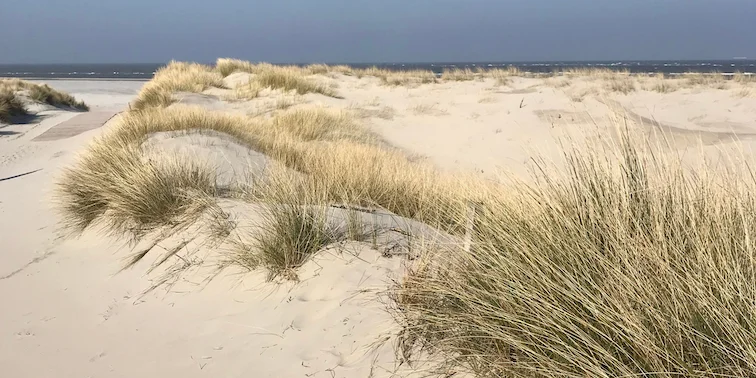 Work-Life-Design auf Spiekeroog Bild 1