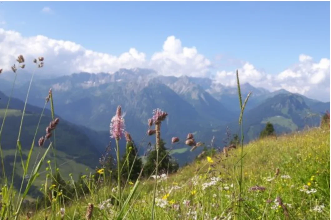 Work-Life-Design im Allgäu Bild 2