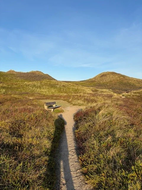 RESILIENZ STÄRKEN: Achtsamkeit und bedürfnisorientierte Kommunikation Im beruflichen Alltag Bild 2