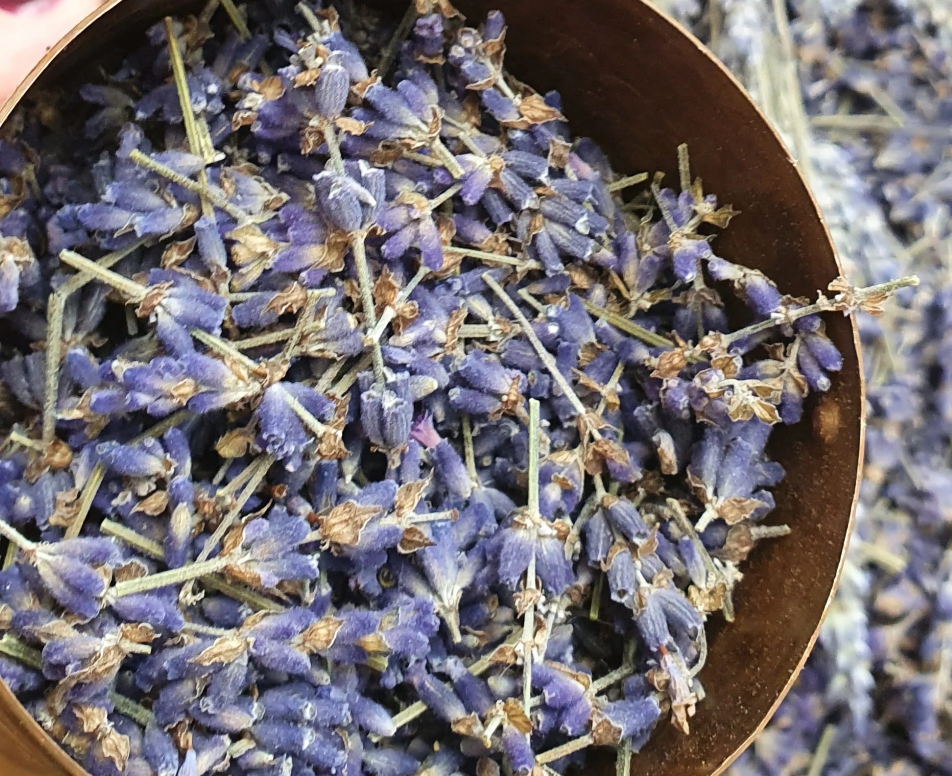 Aromatherapie zur Minderung von Stress und Förderung der Resilienz durch  Pflanzen und ätherische Öle Bild 1