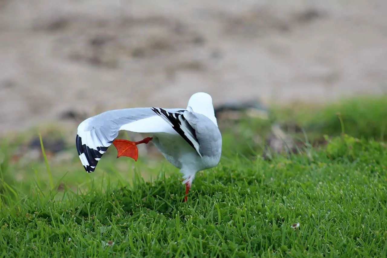 Green Yoga: Naturverbundenheit durch Yoga Bild 1
