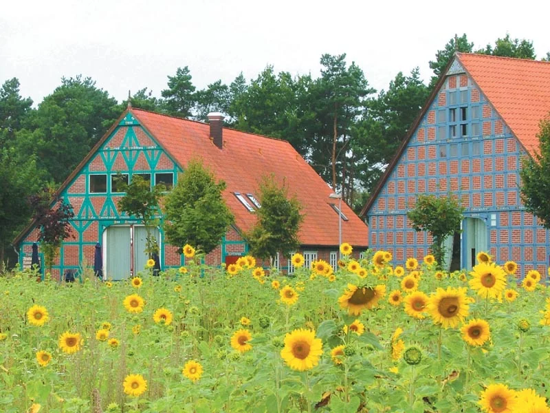 LÜNEBURGER HEIDE | WENDLAND: Stressbewältigung durch Achtsamkeit im Berufsalltag – MBSR Bild 2