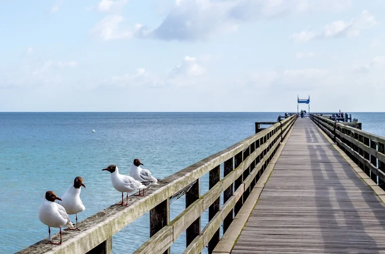 Die Kraft der Resilienz mit Qigong und Achtsamkeitstraining - OSTSEE Bild 1