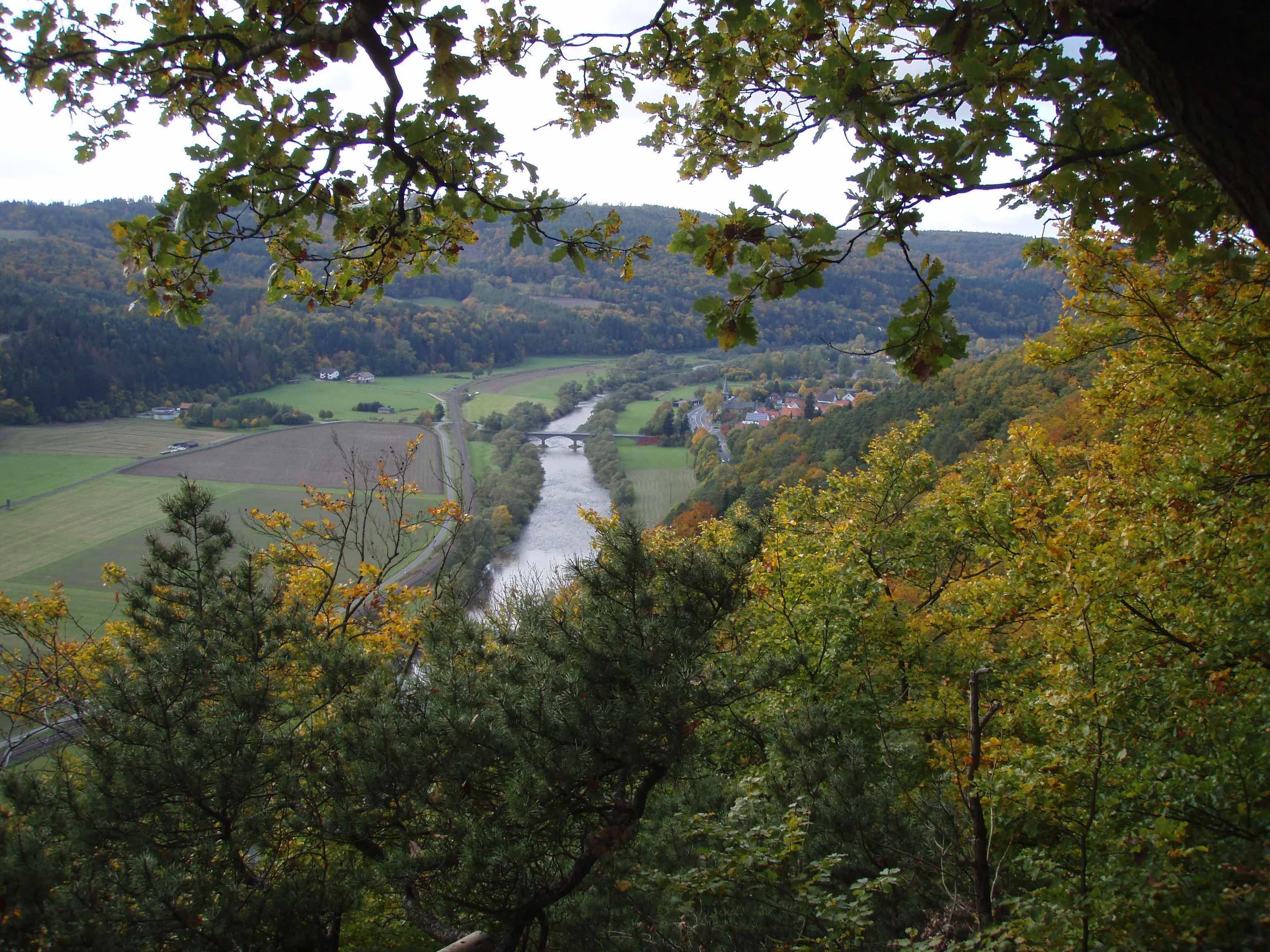 Nationalpark Kellerwald - Wildnis im Buchenwald und UNESCO-Weltnaturerbe Bild 2
