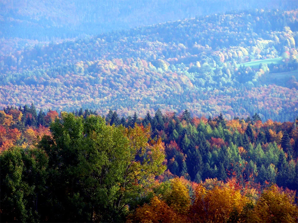 Das Siebengebirge – wertvolle Natur- und Kulturlandschaft zwischen Schutz und Nutzung Bild 1
