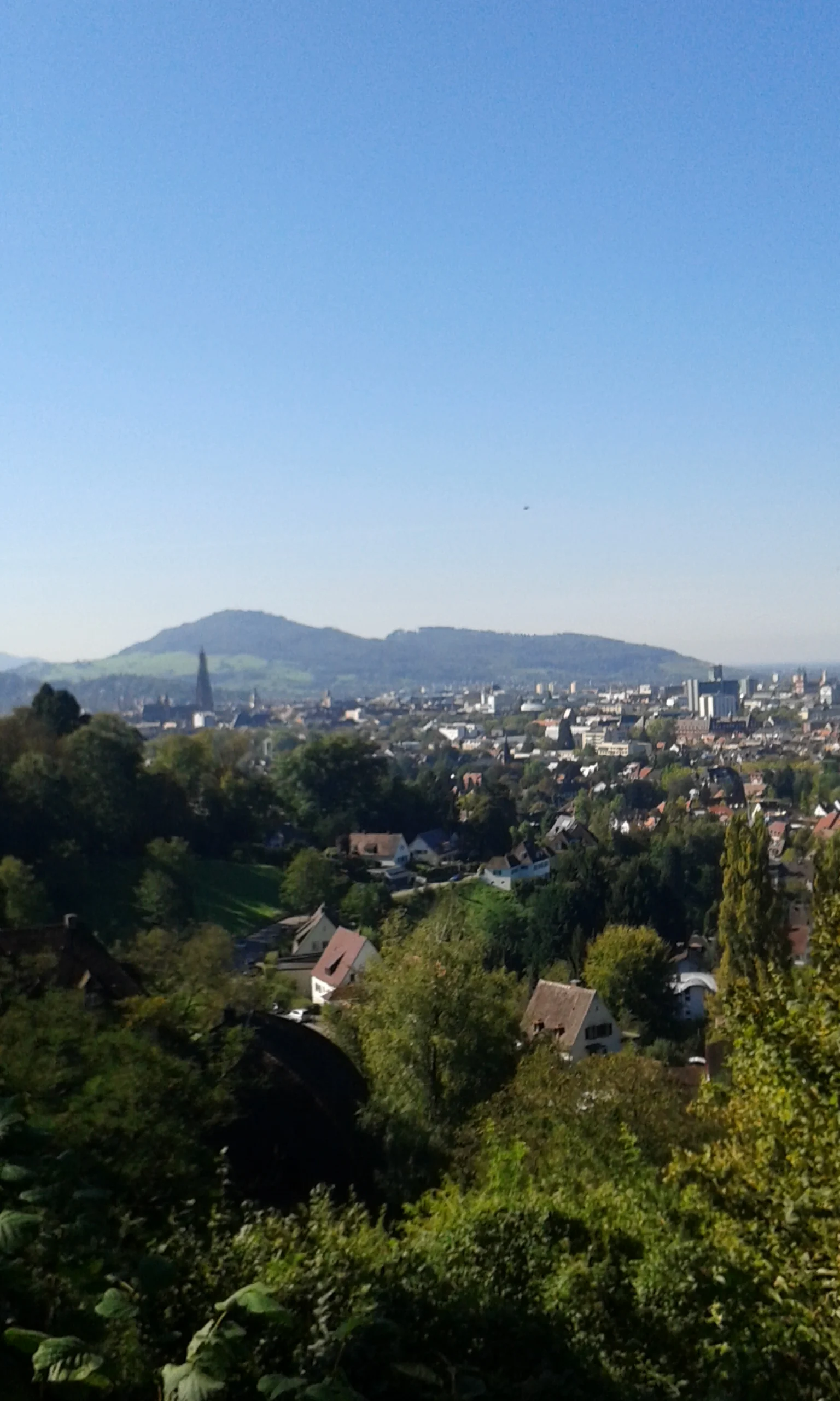 Freiburg - Deutschlands grüner Süden Bild 3