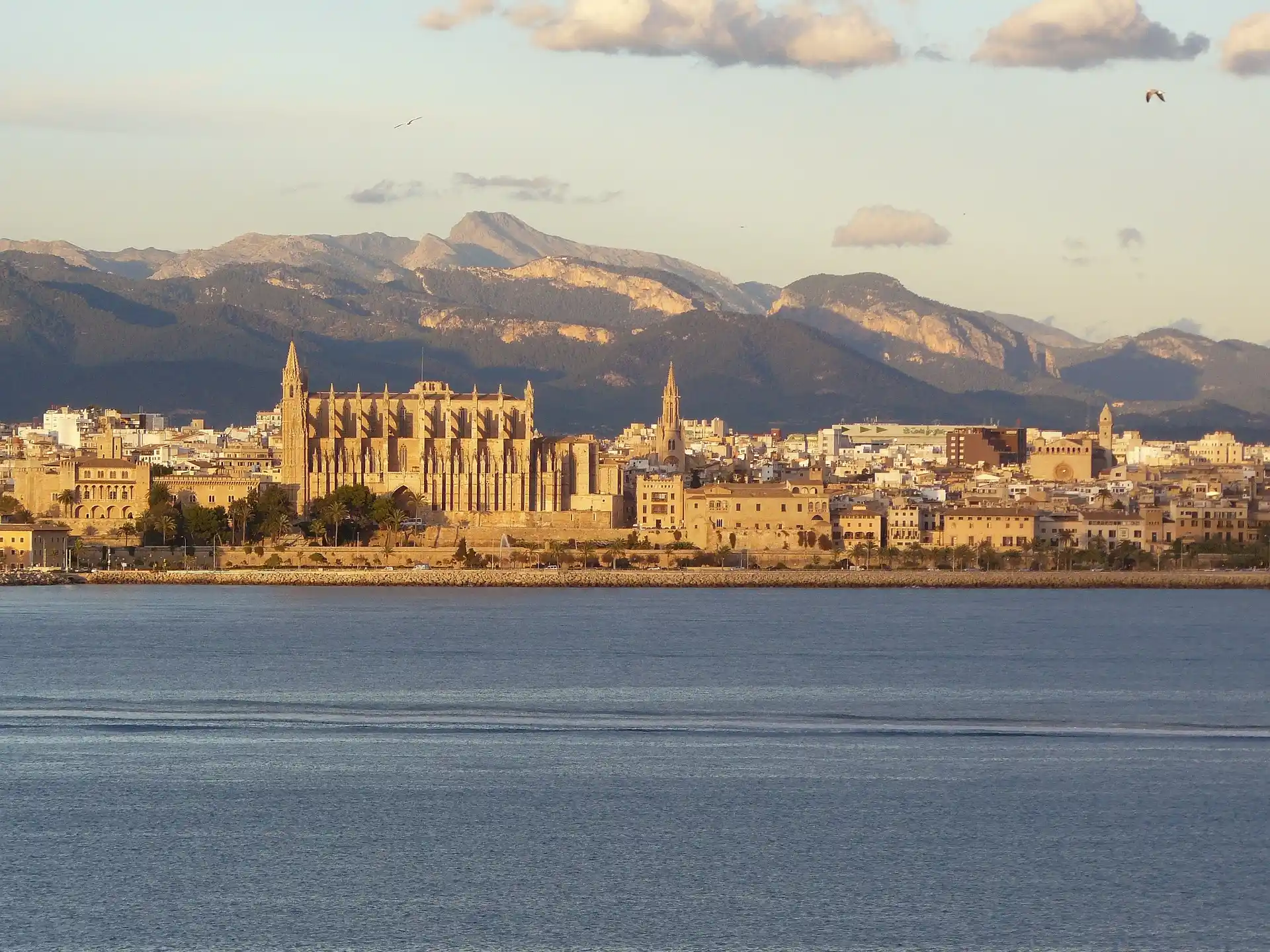 Palma de Mallorca - im Spannungsfeld zwischen Massentourismus und nachhaltiger Stadtentwicklung Bild 1