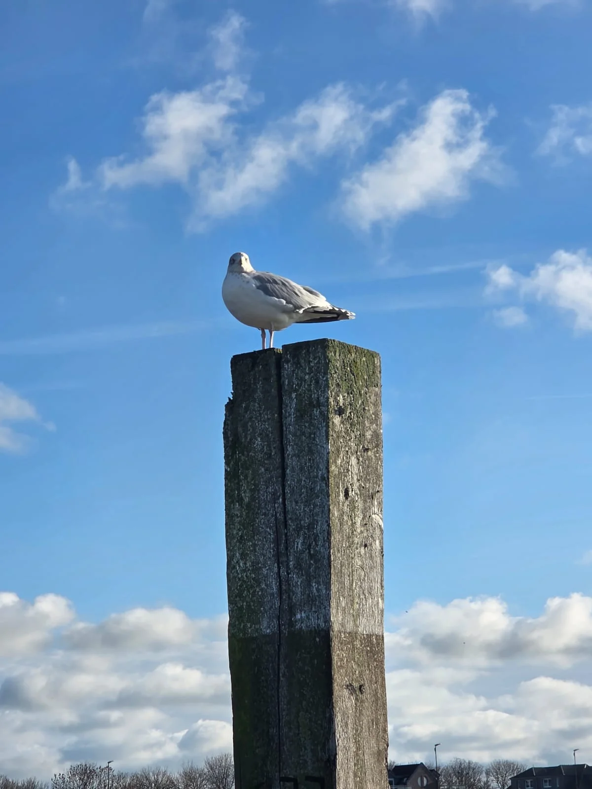Naturerfahrung durch Yoga und Bewegungswellness auf Norderney Bild 2