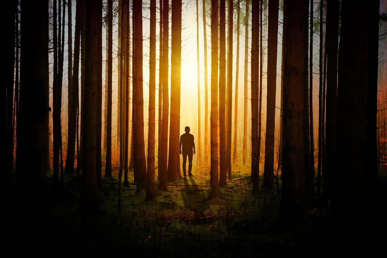 Die Natur und wir – Auf der Suche nach einer neuen Balance Bild 1