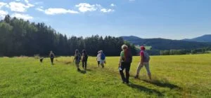 Fit & Gesund durch Fasten, Ernährung, Yoga, Wandern und Stressbewältigung in Theorie und Praxis im Kloster Waldbreitbach Bild 10
