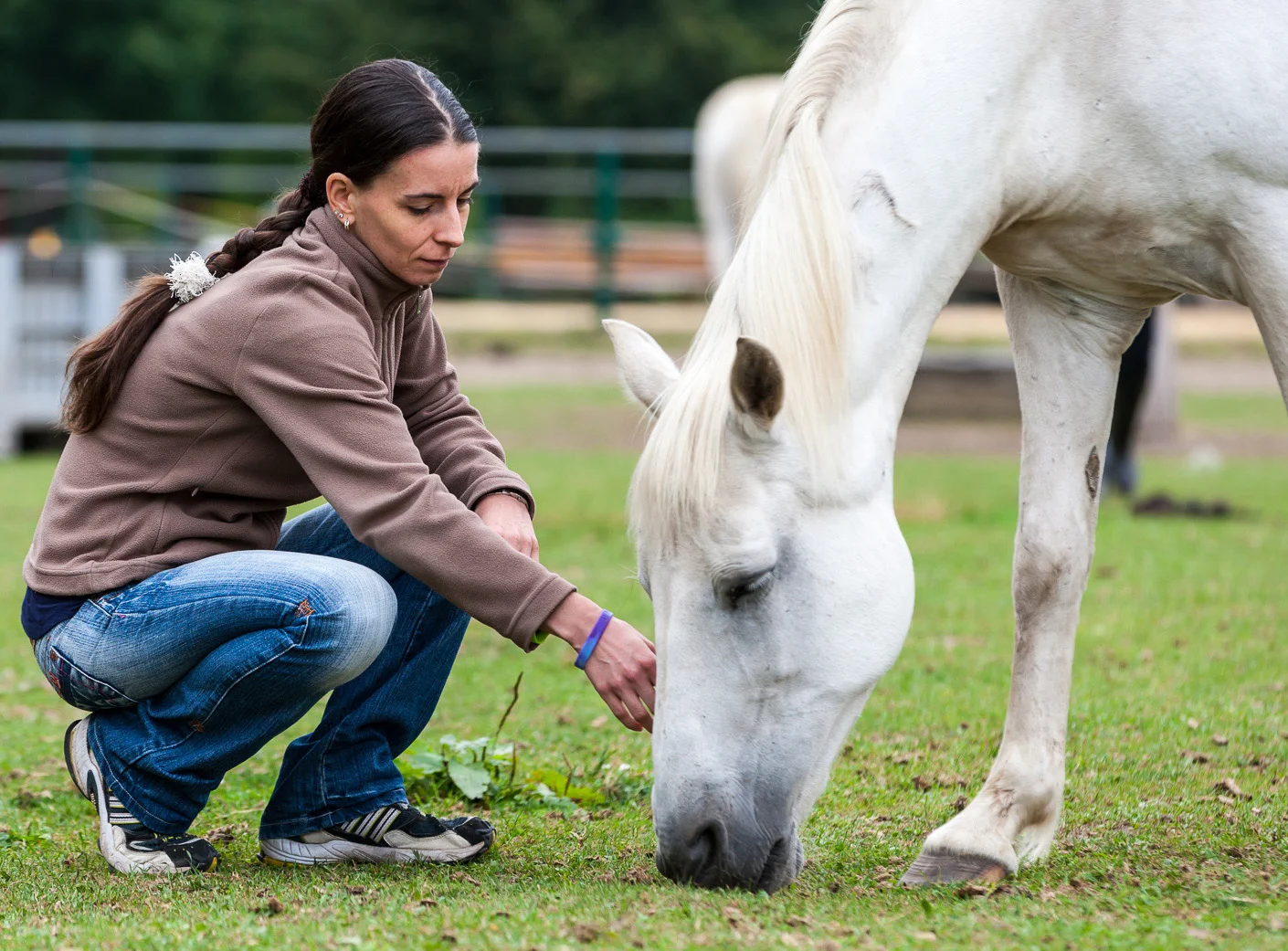 Achtsamkeit und Stressbewältigung mit Pferden und in der Natur Bild 1