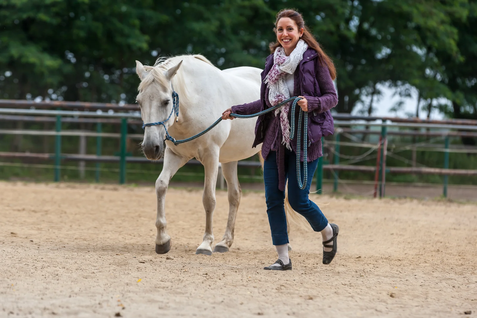 Selbstsicher im Job - Bildungszeit mit Pferdestärken Bild 1