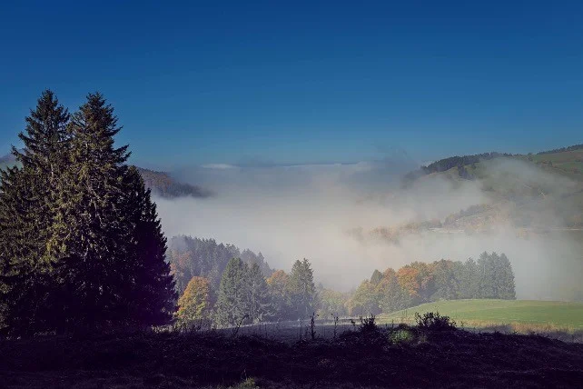 Klarheit & Selbstfürsorge in allen Lebenslagen - Erlebe Yoga, Achtsamkeit und die Natur des Schwarzwaldes Bild 1
